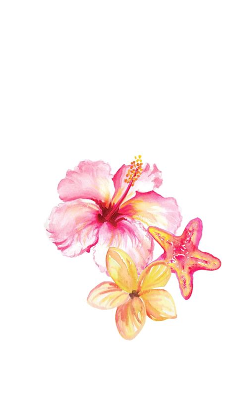 Wallpaper Backgrounds Flowers Pink, Hawaiian Hibiscus Wallpaper, Hubiskis Flower Wallpaper, Pink Flower Lockscreen, Ipad Lock Screen Ideas, Beach Flowers Aesthetic, Hawaiian Flowers Wallpaper, Hibiscus Flower Aesthetic, Pink Hawaiian Flowers