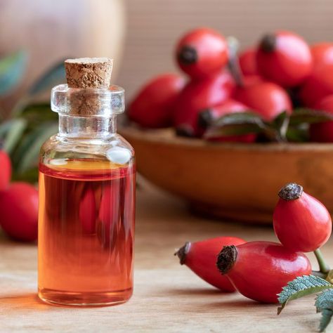 Jojoba Oil Skin, Rosehip Oil Benefits, Rose Hip Seed Oil, Jojoba Oil Benefits, Diy Lip Balm Recipes, Stretch Mark Remedies, Lip Balm Recipes, Rosehip Seed Oil, Diy Lips