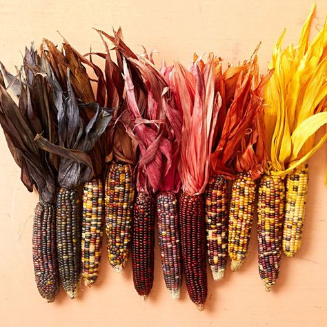 Dyed corn husks: You can dye husks on ears of dried corn to make radiant centerpieces or mantel displays, or use just the husks for the crafts on the next slides. No, you won't have to shuck a mountain of corn-instead, buy an inexpensive package of tamale wrappers at a Mexican market or online. Full instructions and crafts ideas at our story. Corn Husk Wreath, Corn Husk Crafts, Corn Husks, Diy Dye, Straw Wreath, Dried Corn, Indian Corn, Glass Cylinder Vases, Easy Candles