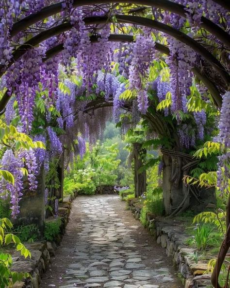 Arch In Garden Ideas, Vine Walkway, Flower Walkway, Bridgerton Prom, Wisteria Arch, Waterfall Flowers, Archway Ideas, Wisteria Tunnel, Flower Archway