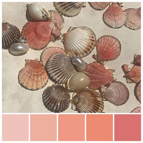 Shell Colour Palette, Pearl Colour Palette, Sea Shell Color Palette, Seashell Color Palette, Seashell Palette, Coral Colour Palette, Pantone Palette, Life Under The Sea, Sea Colour