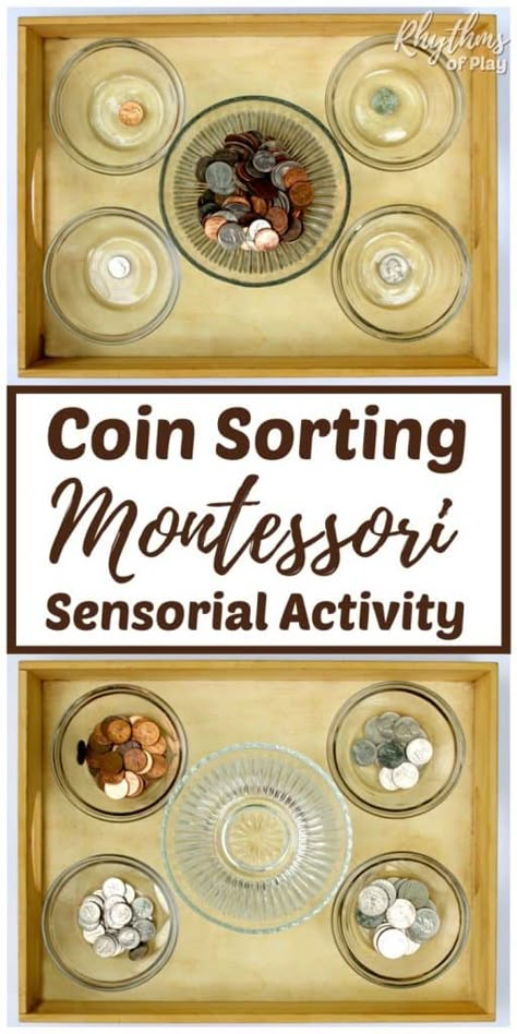 Coin Sorting, Montessori Practical Life, Montessori Preschool, Montessori Math, Montessori Ideas, Sorting Activities, Homeschool Activities, Preschool At Home, Practical Life