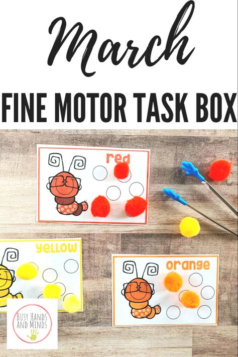 Preschool Fine Motor Boxes, Toddler Task Boxes, Preschool Busy Boxes, Fine Motor Task Boxes, Task Boxes Preschool, Task Bins, Morning Boxes, Special Education Visual Schedule, March Preschool