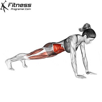 Full Body No Equipment » Workout Routine Created By Yusuf Arslan Mountain Climber Exercise, Oblique Exercises, New Mom Workout, Equipment Workout, Personalized Workout Plan, Oblique Workout, Ab Core Workout, Abs Exercises, Hip Flexors