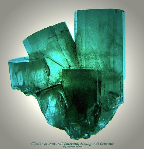 Cluster of Natural Emerald, Hexagonal Crystals by Moonshadow-, via Flickr.  It's tough to find translucent to clear emerald.  Gorgeous specimen. Pretty Rocks, Cool Rocks, Beautiful Rocks, Mineral Stone, Minerals And Gemstones, Rocks And Gems, Emerald Gemstone, Gems And Minerals, Stone Rocks