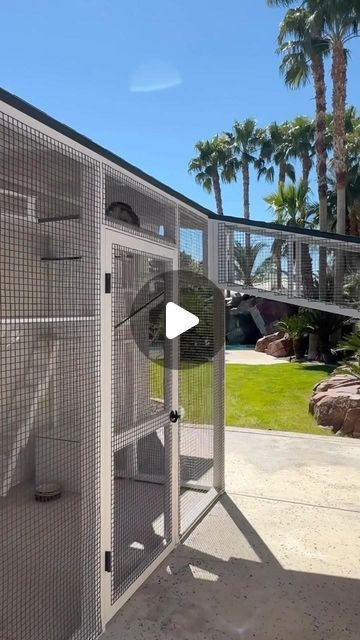 CatioGuy on Instagram: "Maple amd Raja are living the dream in their Las Vegas catio. 🐱 This is one of my favorite catios of all time! 😻 Not seen are siblings Scar, Nala, Dolcetto, Brix, Tuba, Hope, Sollux, Hero, and Luci.   Sorry Vegas residents, but this is a one-off build. We only work in Southern California.   #catioguy #catification #cathouse #cathouses #catplayground #catplaygrounds #cathome #cathomes #catio #catios #customcatio #customcatios #catinspiration #catlife #catlifestyle #catenclosure #catenclosures #catstructure #catstructures #cat #cats #catsofinstagram #catvideooftheday #meow #meowmonday #catsoftheworld" Cat Outside House, Pvc Catio Diy Plans, Cat Inclosers Outside, Cat Enclosure Outdoor Diy, Free Catio Plans, Cat Catio Enclosure, How To Build A Catio For Cats, Diy Catios For Cats Outside Easy, Cat Condo Outdoor