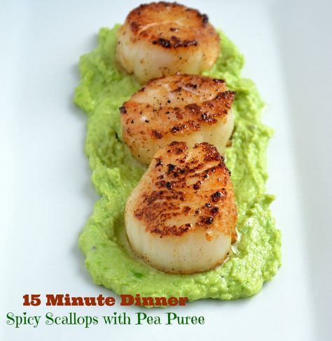 Pea Puree, Seared Scallops, Sea Scallops, Scallop Recipes, Pea Recipes, 15 Minute Meals, Scallops Seared, Healthy Fish, Mouthwatering Recipes