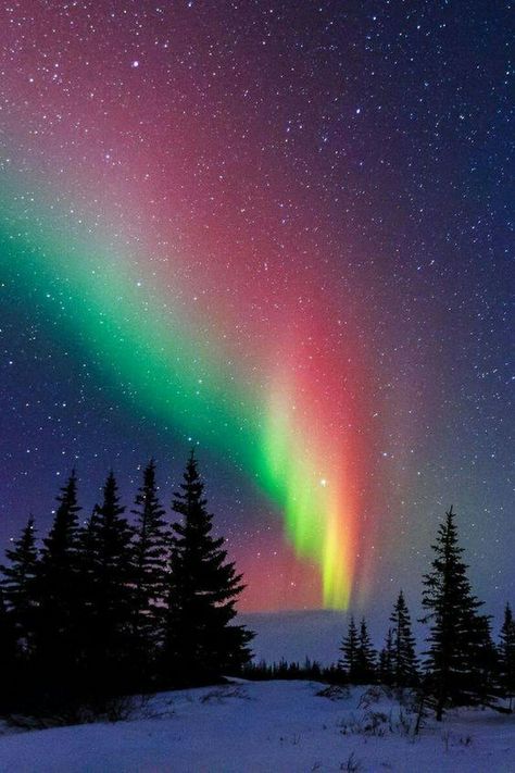 Churchill Manitoba, Image Swag, Moraine Lake, The Night Sky, Nature Quotes, Churchill, Most Beautiful Places, Aurora Borealis, Natural Wonders