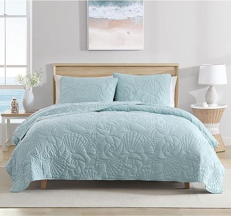 Amazon.com: Caribbean Joe Full/Queen Outlined Shell 3-Piece Quilt Set, Coastal Beach Design Bedding, Aqua : Home & Kitchen Shell Outline, Aqua Quilt, Beach Bedding Sets, Coastal Quilts, King Quilt Sets, Coastal Bedding, Coastal Colors, Beach Bedroom, Coastal Bedroom