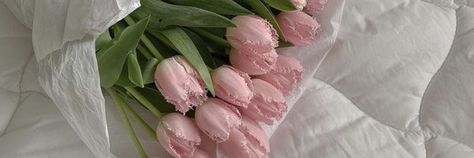 Tulip Banner Discord, Pink Aesthetic Notion Header, Pink Wide Widget, Pink Aesthetic Notion Cover, Tulips Aesthetic Header, Facebook Cover Photos Pink, Long Pink Widget, Notion Cover Photo 1500 Pixels, Tulips Header