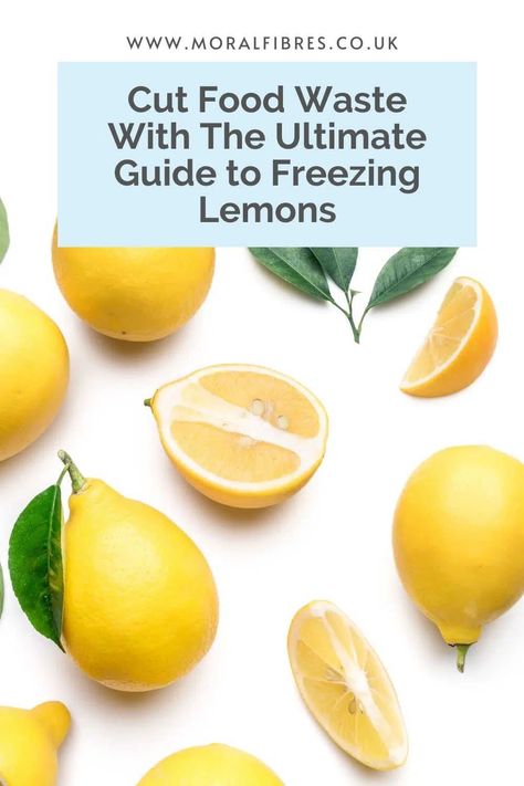 Can You Freeze Lemons? Yes, Let Me Show You How! - Moral Fibres Freeze Lemon Zest, Freezing Lemon Zest, Can You Freeze Lemons, Freeze Lemons, Preserved Lemons Recipes, Freezing Lemons, Lemons Recipes, Herb Uses, Growing Vegetables At Home