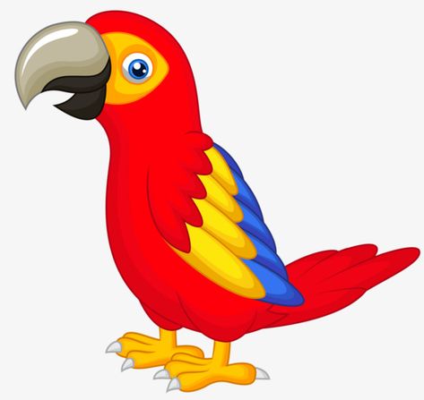 Parrot Cake, Parrot Cartoon, Parrot Drawing, Bird Sketch, Bird Clipart, Cartoon Birds, Africa Art, Funny Birds, Bird Drawings