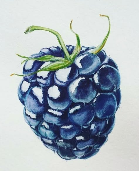 Fruit Art Drawings, Prismacolor Art, Fruits Drawing, Watercolor Fruit, 수채화 그림, Pencil Art Drawings, Color Pencil Art, Color Pencil Drawing, Fruit Art