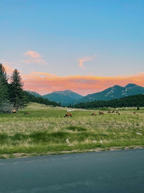 Mountains, wildlife, sunset, summer Estes Park, Colorado spring sunset, summer sunset, travel, elk, deer, nature Colorado Aesthetic, Colorado Summer, Estes Park Colorado, Sunset Summer, Pretty Landscapes, Estes Park, Pretty Sky, Summer Dream, Nature Aesthetic