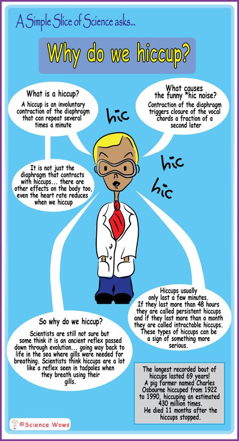 A Simple Slice of Science – Why do we hiccup #science #kids #hiccups Ks1 Science, Investigation Station, Offline Activities, Science Trivia, Science Kids, Physics Lessons, Stem Experiments, Morning Basket, Fun Facts For Kids