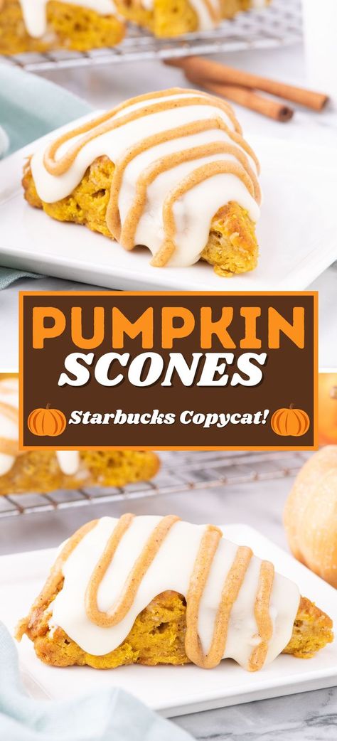 homemade starbucks pumpkin scones on a white plate Starbucks Pumpkin Scone Recipe, Copycat Starbucks Pumpkin Scones, Best Pumpkin Scones, Maple Pumpkin Scones, Easy Pumpkin Scones Recipe, Buttermilk Pumpkin Scones, Easy Pumpkin Scones, 1 Cup Pumpkin Recipes, Pumpkin Scones Recipe Easy