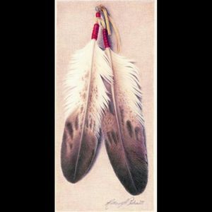 My next tattoo • rdvilla301 • Tattoo Collector • Tattoodo Jw Tattoo, Native Feather Tattoos, Feather Color Meaning, Native American Feather Tattoo, Eagle Feather Tattoos, Feather Sketch, Indian Pics, Indian Skull Tattoos, Feather Stencil