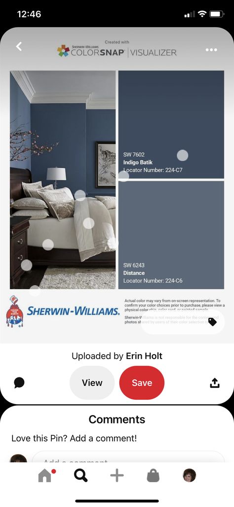 Indigo Batik Sherwin Williams, Sherwin Williams Indigo, Sunroom Paint Colors, Paint Living Room, Indigo Batik, Color Chip, Interior Paint Colors, Living Room Paint, Sherwin Williams