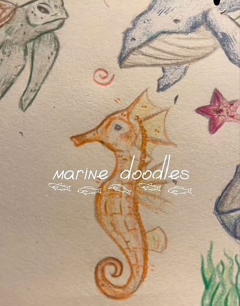 Marine Doodles Aesthetic, Marine Animals Drawing Aesthetic, Marine Animal Doodles, Marine Drawing Ocean, Aesthetic Ocean Drawing, Sea Horse Doodle, Sea Animals Drawing Sketch, Underwater Animals Drawing, Sea Horse Drawing Easy