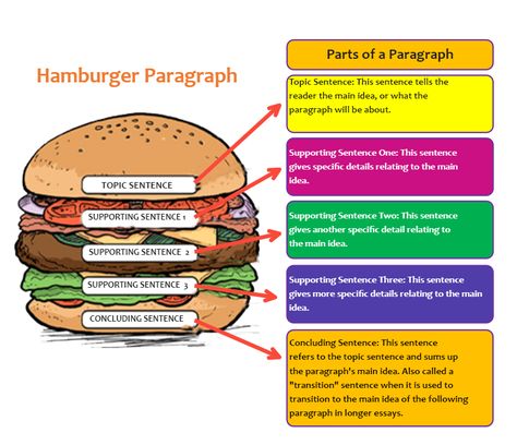 Hamburger Style Paragraph Steps For Writing A Paragraph, Hamburger Method For Writing, Burger Paragraph Writing, Hamburger Paragraph Writing Free, Hamburger Writing Template Free, Hamburger Graphic Organizer, How To Write A Paragraph Step By Step, How To Write An Essay, Hamburger Writing Template