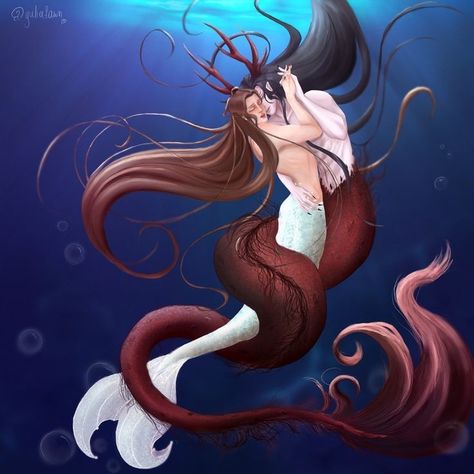 Xie Lian Mermaid, Mermaid Xie Lian, Siren X Human, Jiaoren Mermaid, Mermaid X Human, Human And Mermaid, Mermaid Couple, Mermaid Anime, Anime Mermaid