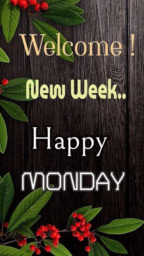 Weekend Prayer, New Week Blessings, Monday Blessings New Week, Thursday Prayer, Monday Morning Blessing, Week Blessings, Monday Quote, Monday Greetings, Happy Monday Quotes