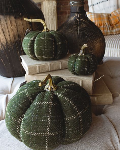 Combine the coziness of plaid flannel and the classic fall pumpkin to get these darling plush pumpkins! Admit it... you're obsessed😍 - 314 E. Main St. in Ada, OK Tuesday-Friday 11am-5:30pm Saturday 10am-3pm - - - #adamainstreet #homedecor #uniquedecor #newstock #new #shoplocal #ahomeboutique #autumndecor #falldecor #autumnvibes #fallvibes #fall #pumpkin #pumpkinseason #CozyVibes Fall Tabletop Decor, Fall Pumpkin Decor, Plaid Pumpkin, Traditional Pumpkin, Artificial Pumpkins, Christmas Tabletop Decor, Christmas Tabletop, Fall Ribbons, Tan Plaid