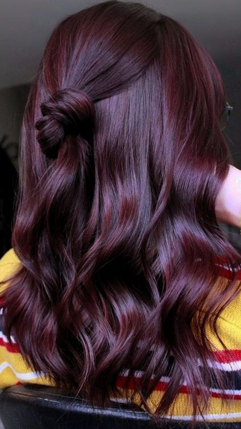 Stunning Cherry Red Hair Color Ideas You’ll Love Dark Plum Hair Color, Cherry Red Hair Color, Dark Plum Hair, Pelo Color Borgoña, Red Purple Hair, Black Cherry Hair, Red Violet Hair, Cherry Hair Colors, Wine Hair Color