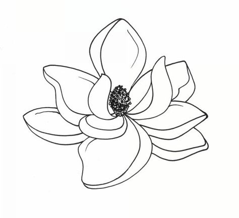 Botanical Illustrations by Meghan Witzke at Coroflot.com Magnolia Doodle, Southern Magnolia Tattoo, Fine Line Peony Tattoo, Magnolia Drawing, Magnolia Clipart, Coloring Doodles, Magnolia Tattoo, Southern Magnolia, Flower Line Drawings