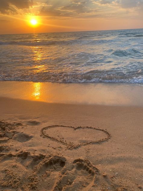 #sunrise #beach Morning Sunrise Aesthetic, Sunrise On The Beach, Memories Aesthetic, Good Morning Love Gif, Poipu Beach, Ocean Aesthetic, Beach Sunrise, Morning Sunrise, Sunrise Beach