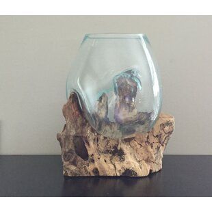 Driftwood Terrarium, Kitchen Plants Decor, Basic Room, Open Terrariums, Beautiful Terrariums, Kitchen Plants, Barrel Planter, Condo Ideas, Window Planter Boxes