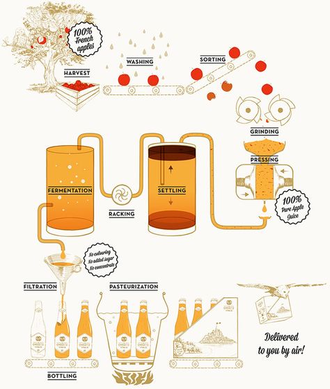 This infographic shows the basic steps involved in cider making from the orchard to the final product. This will help consumers understand the process better in an easy to read infographic. Homemade Board Game, Wine Infographic, Making Hard Cider, Bio Project, Apple Bar, Biology Activity, Homemade Board Games, Cider Bar, Craft Cider