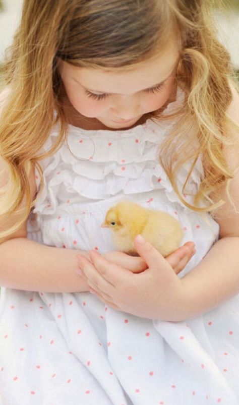 Spring Baby Chicks Photography, Easter Morning, Easter Pictures, Easter Blessings, Easter Parade, Easter Photos, Happy Wishes, Spring Theme, Spring Fever