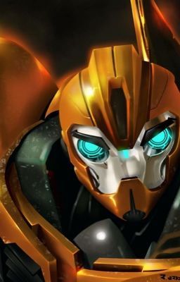 Bumblebee Tfp, Tf Bumblebee, Tfp Bumblebee, Transformers Prime Bumblebee, Optimus Prime Transformers, Transformers Autobots, Transformers Bumblebee, Transformers 3, Transformers Movie