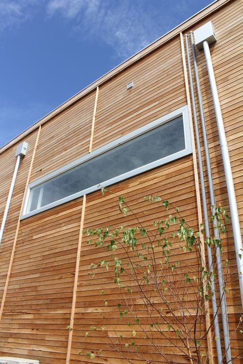 Silvertop ash shiplap cladding Cladding Ideas, Shiplap Cladding, Timber Buildings, Timber Cladding, Building Designs, Roof Solar Panel, Industrial Buildings, Home Design Decor, Building Design