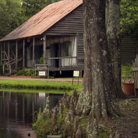 Bayou Aesthetic, Swamp Cabin, Bayou Cottage, Swamp Village, Cajun Cottage, Mississippi River Delta, Bayou House, Covington Louisiana, Bayou Country