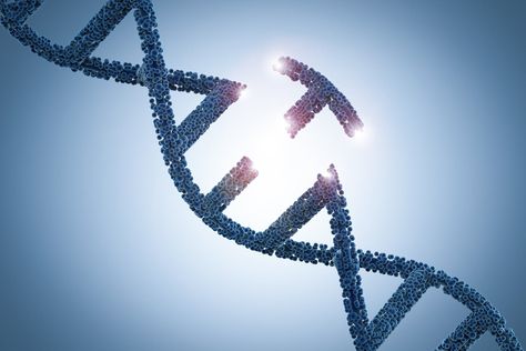 Why 2020 Should Be the Biggest Year Yet for CRISPR Gene-Editing Stocks | The Motley Fool  ||  More pipeline activity than ever before could usher in a big boom for CRISPR gene-editing stocks next year. https://www.fool.com/investing/2019/12/22/why-2020-should-be-the-biggest-year-yet-for-crispr.aspx Mthfr Gene Mutation, Gene Editing, Mthfr Gene, Genetic Diseases, Gene Therapy, Adrenal Fatigue, Dna Test, Biotechnology, Life Science