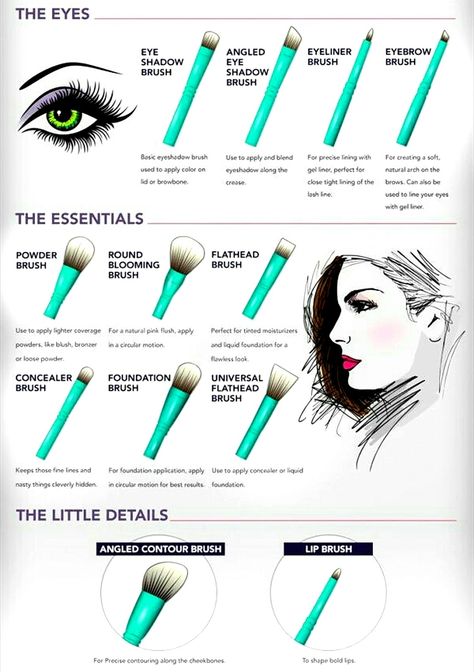 Makeup Learning, Cheap Makeup Brushes, Brush Guide, Black Glamour, Makeup Brushes Guide, Make Up Tools, Cheap Makeup, Makeup Guide, Learning Techniques