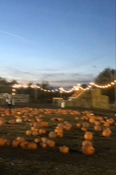 Pumpkin Patch Astethic, Y2k Fall Aesthetic Wallpaper, Aesthetic Pumpkin Patch, Fall 2019 Aesthetic, Fall Aesthetic Pumpkin Patch, Pumpkin Fall Aesthetic, Aesthetic Pumpkins, Pumpkin Patch Date Aesthetic, Autumn Sunset Aesthetic