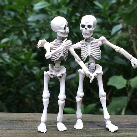 Movable Mr. Bones Skeleton Human Model Skull Full Body Mini Figure Toy Halloween LIO Human Skeleton Model, Skeleton Human, Posable Skeleton, Human Model, Skeleton Figure, Skeleton Body, Mr Bones, Skeleton Model, Horror Party