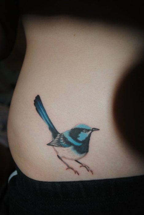 Wren Tattoo, Blue Ink Tattoos, Bluebird Tattoo, Fairy Wren, Bird Drawing, Blue Tattoo, Tattoo Photography, Bird Tattoo, Tattoo Meaning