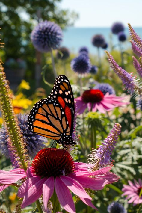 Grow Butterflies, Wild Flower Quotes, Butterfly Feeders, Butterfly Feeder, Hummingbird Plants, Grow Wildflowers, Plant Stakes, Butterfly Plants, Best Perennials