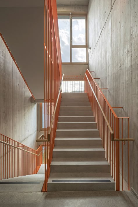 Prefunction Hall, Stairs Architecture, School Interior, Stair Handrail, Staircase Railings, Interior Stairs, Railing Design, Stair Railing, School Architecture