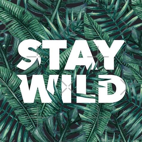 Jungle Typography Design, Jungle Design Graphic, Jungle Typography, Jungle Graphic Design, Tropical Graphic Design, Disney Typography, Jungle Font, Jungle Logo, Jungle Poster