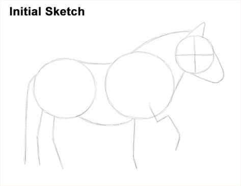 How to draw a Shetland Pony STEP BY STEP Shetland Pony Drawing, Parts Of The Eye, Shetland Pony, A Pony, Pony Drawing, Learn How To Draw, Step By Step Drawing, Learn To Draw, Hazelnut