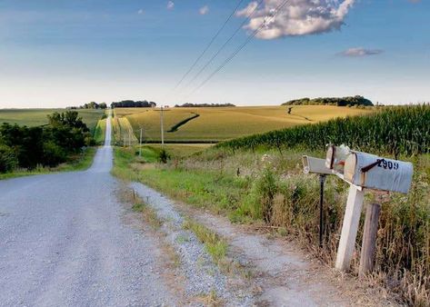 Iowa Landscape, Iowa Farms, Farm Photography, Sea To Shining Sea, Iowa State, Landscape Pictures, Slice Of Life, Landscape Prints, Landscape Photos