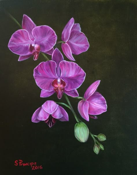 Flower Paintings - Sandra Principe Painting Of Orchids, Orchid Flower Tattoos, Orchid Illustration, Orchids Painting, Orchid Plant Care, Orchid Photography, Natural Form Art, Foto Transfer, Watercolor Flowers Tutorial