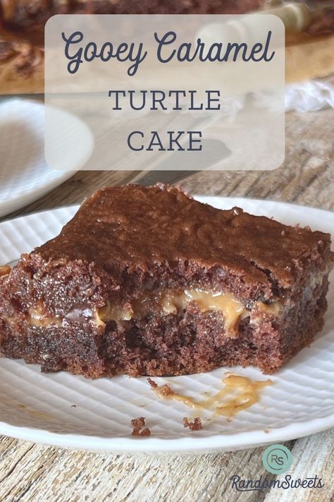 Turtle Cake Recipe Easy, Turtle Cake Recipe, Chocolate Caramel Cake, German Chocolate Cake Mix, How To Melt Caramel, Chocolate Turtles, German Cake, Turtle Cake, Shortbread Bars