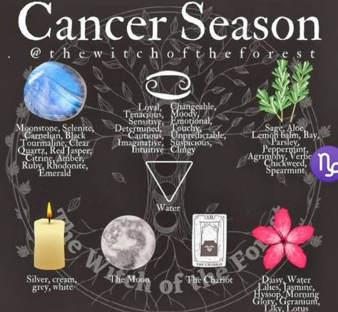 Lindsay Squire, Zodiac Sign Traits, Astrology Art, Spells Witchcraft, Zodiac Sign Facts, Witchy Things, Zodiac Astrology, Witchy Stuff, Astrology Zodiac