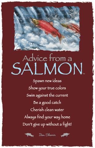 Advice from a Salmon Fish Quotes Inspirational, Salmon Quotes, Shaman Magic, Animals Meaning, Swim Against The Current, Salmon Art, 365 Jar, Against The Current, Animal Spirit Guides